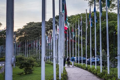 YTJN Nairobi Tax Talks RoundUp: Third Session of the Intergovernmental Negotiating Committee to Develop a UN Framework Convention on International Tax Cooperation - Day 4