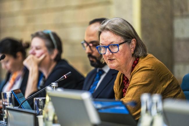 YTJN Nairobi Tax Talks RoundUp: Third Session of the Intergovernmental Negotiating Committee to Develop a UN Framework Convention on International Tax Cooperation - Day 5